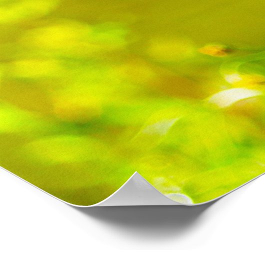 Canada Goose Poster (Hoek)