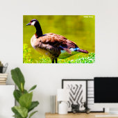 Canada Goose Poster (Thuiskantoor)