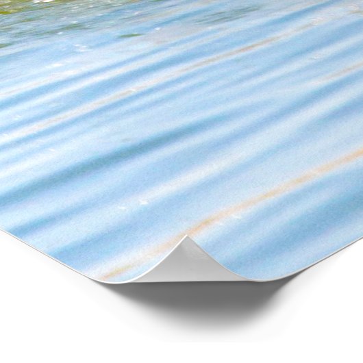 Canada Goose Poster (Hoek)