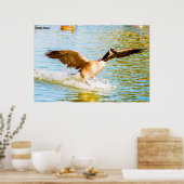 Canada Goose Poster (Keuken)