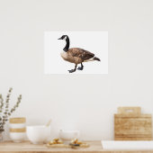 Canada Goose Poster (Keuken)