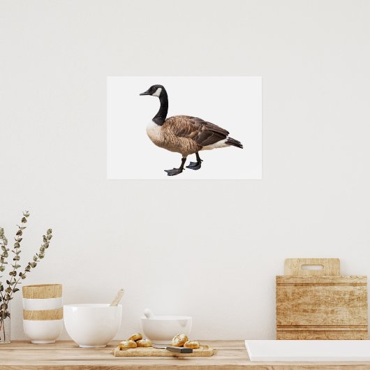 Canada Goose Poster (Keuken)