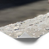 Canada Goose Poster (Hoek)