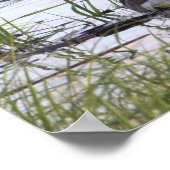 Canada Goose Poster (Hoek)