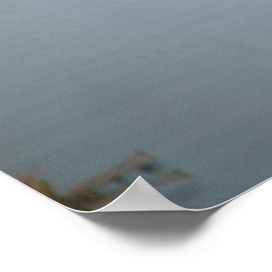 Canada Goose Poster (Hoek)