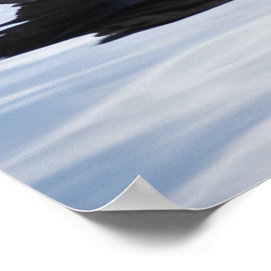 Canada Goose Poster (Hoek)