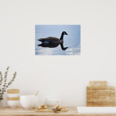 Canada Goose Poster (Keuken)