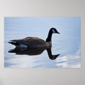Canada Goose Poster (Voorkant)