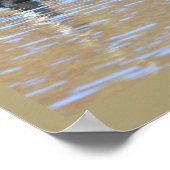 Canada Goose Poster (Hoek)