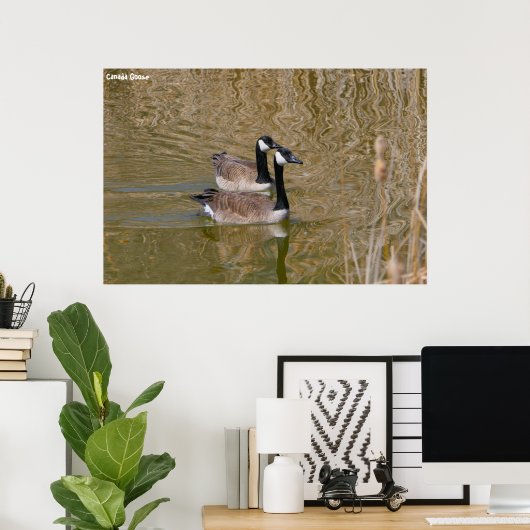 Canada Goose Poster (Thuiskantoor)