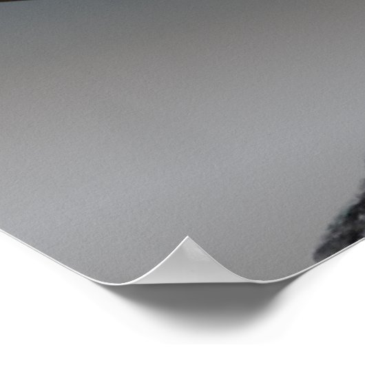 Canada Goose Poster Canada Souvenir Poster Print (Hoek)