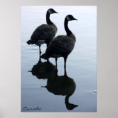 Canada Goose Poster Custom Canada Souvenir Poster (Voorkant)