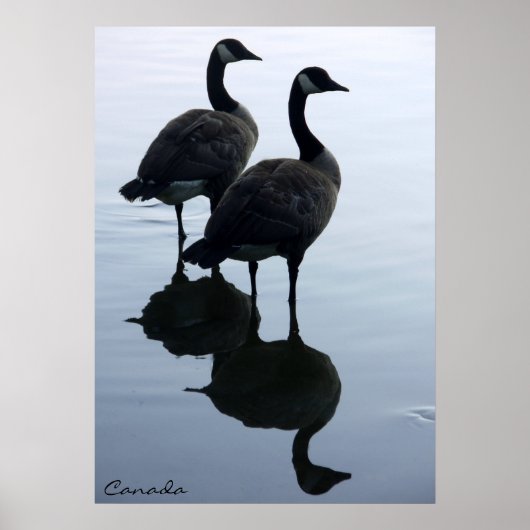 Canada Goose Poster Custom Canada Souvenir Poster (Voorkant)