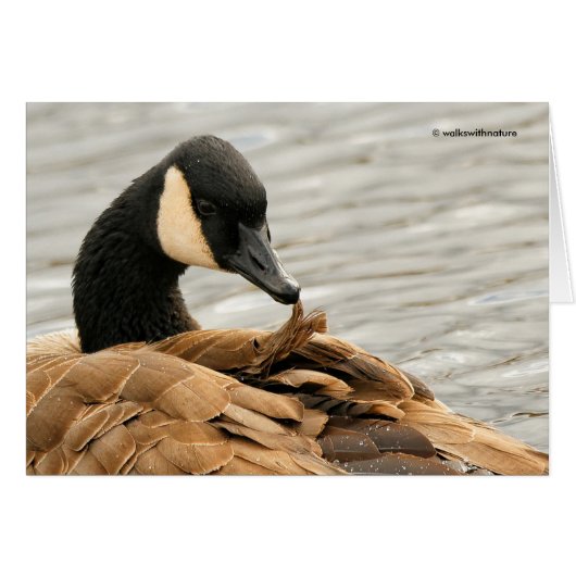 Canada Goose Presening op het meer (Voorkant Horizontaal)
