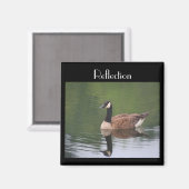 Canada Goose Reflection Inspirerend Magnet (Voorkant / Achterkant)
