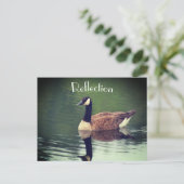 Canada Goose Reflections Inspirerend Briefkaart (Staand voorkant)