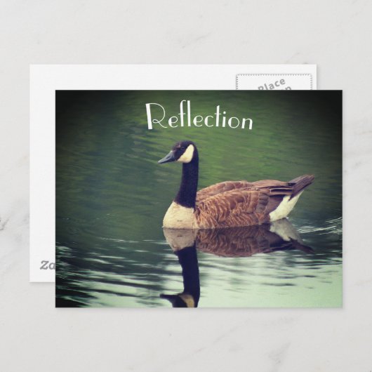 Canada Goose Reflections Inspirerend Briefkaart (Voorkant / Achterkant)