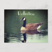 Canada Goose Reflections Inspirerend Briefkaart (Voorkant)