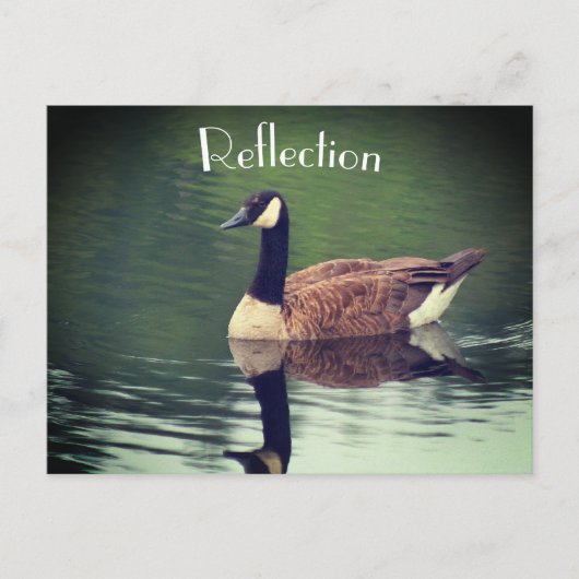 Canada Goose Reflections Inspirerend Briefkaart (Voorkant)