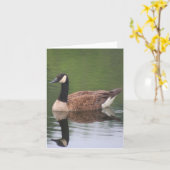 Canada Goose Reflections Nature Note Kaart (Gele Bloem)