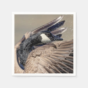 Canada Goose Servet