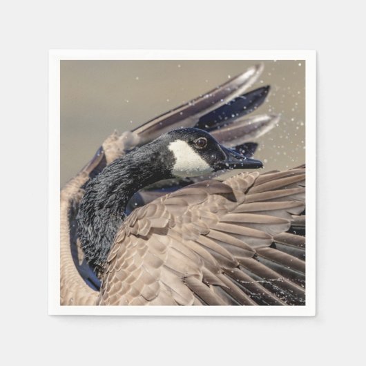 Canada Goose Servet (Voorkant)
