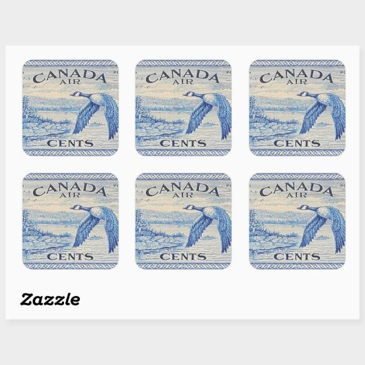 Canada Goose Sticker (Vel)