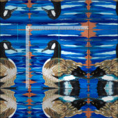 Canada Goose Stof (Delen)