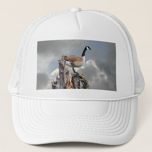 CANADA GOOSE TRUCKER PET (Voorkant)