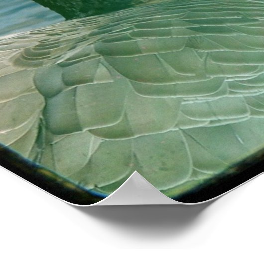 Canada Goose TTV Poster (Hoek)