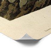 Canada Goose uit Audubon's Birds of America Poster (Hoek)