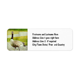 Canada Goose - Waterverf geschilderd effect Etiket