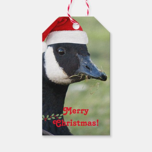 Canada Goose Wearing Santa Hat Holiday Cadeaulabel (Voorkant)
