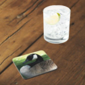 Canada Goose Wildlife Foto Bier Onderzetter