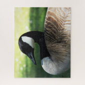 Canada Goose Wildlife Foto Legpuzzel (Verticaal)