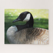 Canada Goose Wildlife Foto Legpuzzel (Horizontaal)
