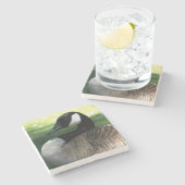 Canada Goose Wildlife Foto Stenen Onderzetter (Zijkant)