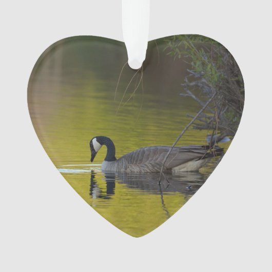 Canada Goose Wildlife Lake Dated Photo Custom Ornament (voorkant)