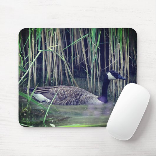 Canada Goose Wildlife Natuur Muismat (Met muis)