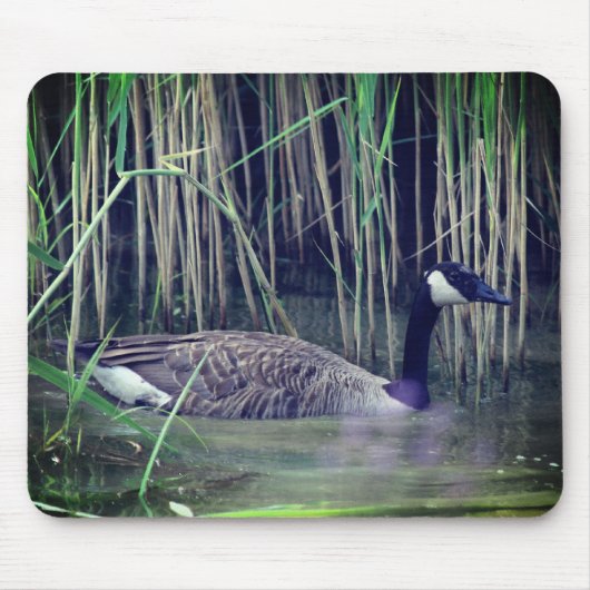 Canada Goose Wildlife Natuur Muismat (Voorkant)