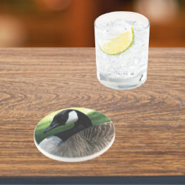 Canada Goose Wildlife Photo Sandstone Zandsteen Onderzetter