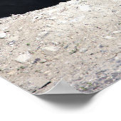 Canada Goose with Babies Poster (Hoek)