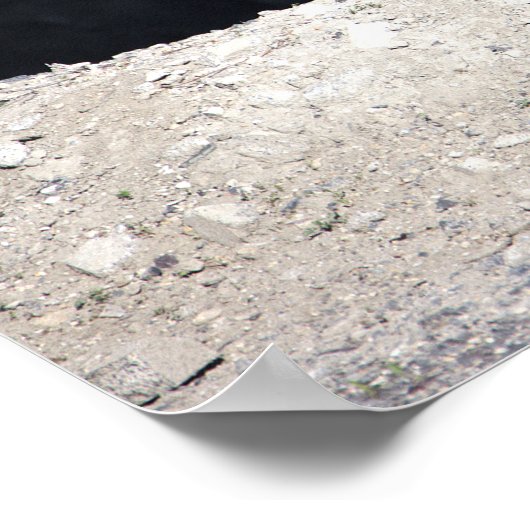 Canada Goose with Babies Poster (Hoek)