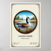 Canada Goose Zoölogie Serie Poster (Voorkant)