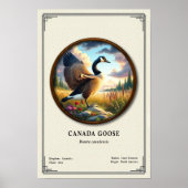 Canada Goose Zoölogie Serie Poster (Voorkant)