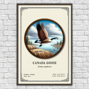 Canada Goose Zoölogie Serie Poster