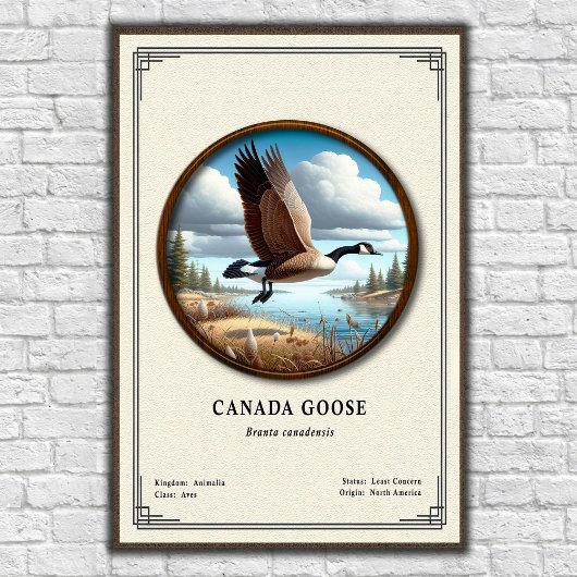 Canada Goose Zoölogie Serie Poster
