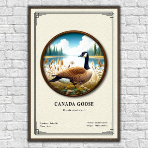 Canada Goose Zoölogie Serie Poster
