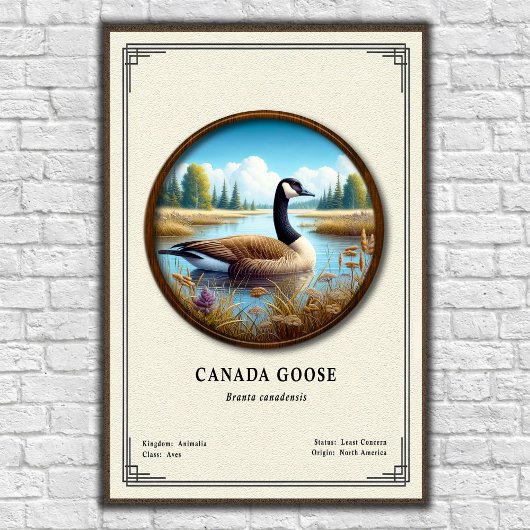 Canada Goose Zoölogie Serie Poster
