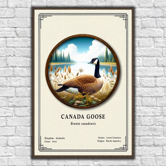 Canada Goose Zoology Series Poster